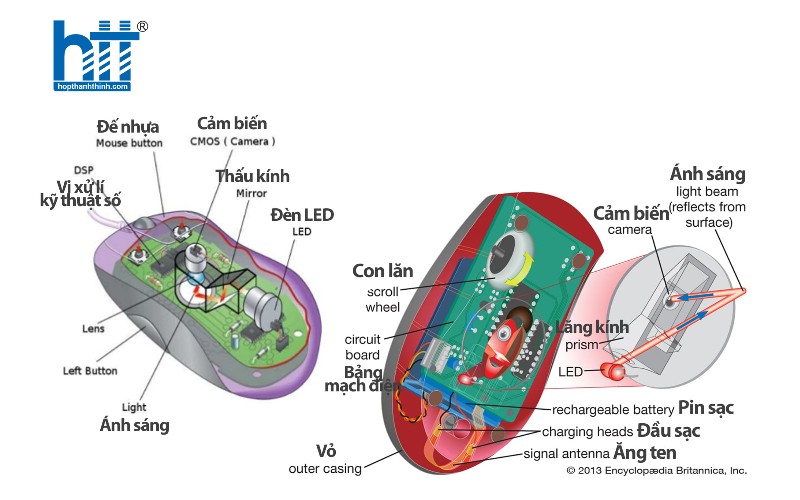 Hợp thành thịnh - Chuột có dây Targus U660