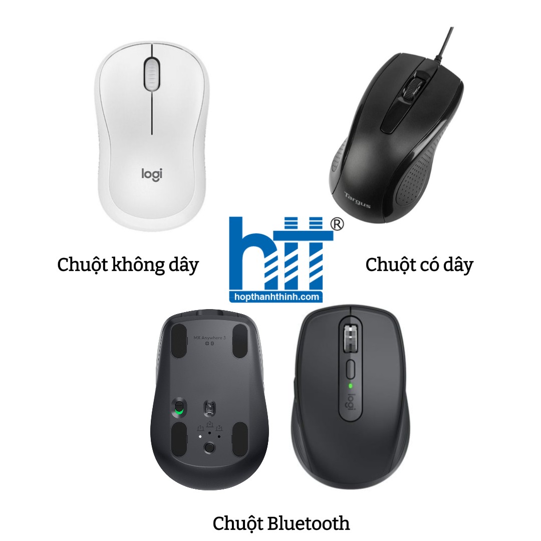 Hợp thành thịnh - Chuột có dây Targus U660