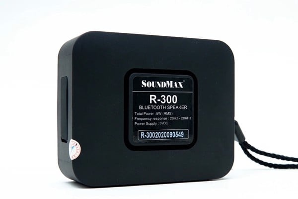 loa SoundMax R-300