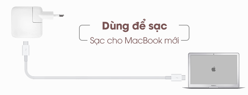 Cáp Type-C - Type-C 80 cm Apple MQ4H2