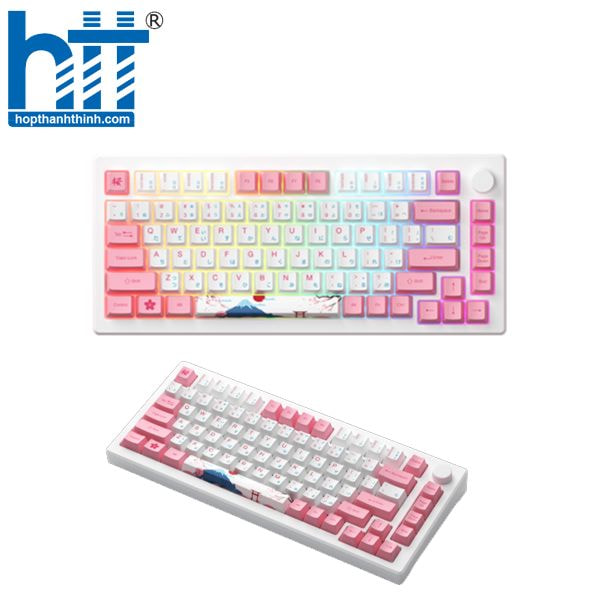 Hợp Thành Thịnh - Bàn phím AKKO MOD007B-HE