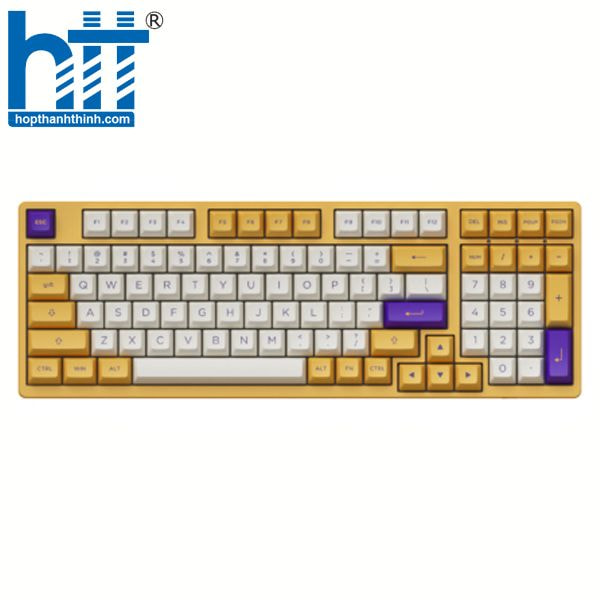 Hợp Thành Thịnh - Bàn phím cơ AKKO 3098S Los Angeles