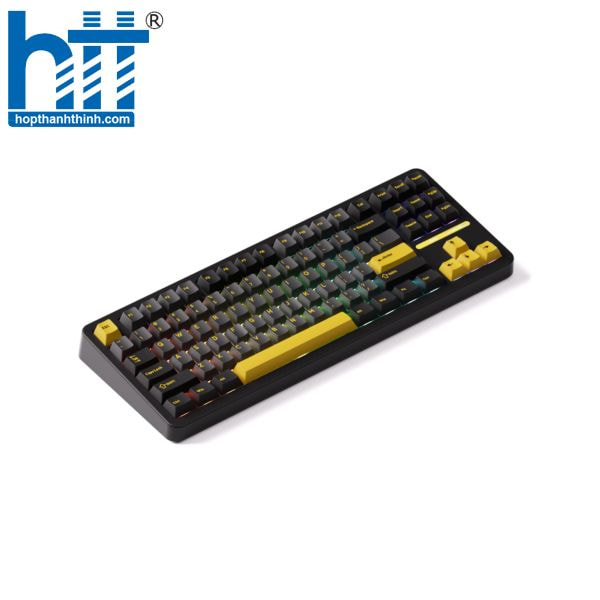 Hợp Thành Thịnh - Bàn phím cơ Akko TAC87 Black&Gold