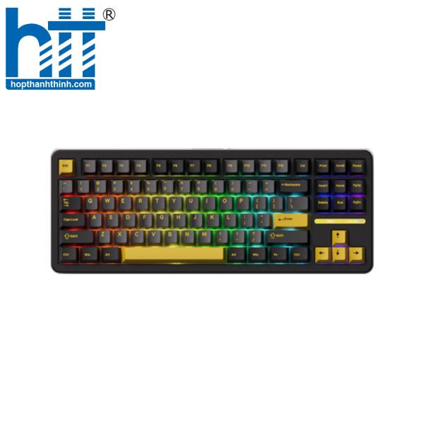 Hợp Thành Thịnh - Bàn phím cơ Akko TAC87 Black&Gold