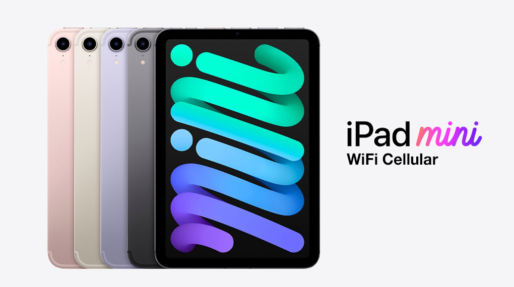 Có 4 phiên bản màu sắc - iPad mini 6 WiFi Cellular 256GB