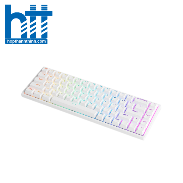 Hợp Thành Thịnh - Bàn phím cơ AKKO 3068 v2 RGB - White (Hotswap - RGB - Akko CS switch Jelly Purple)