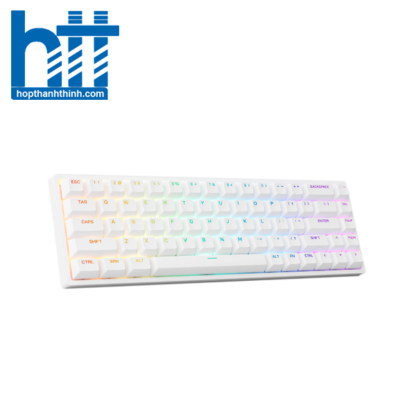 Hợp Thành Thịnh - Bàn phím cơ AKKO 3068 v2 RGB - White (Hotswap - RGB - Akko CS switch Jelly Purple)