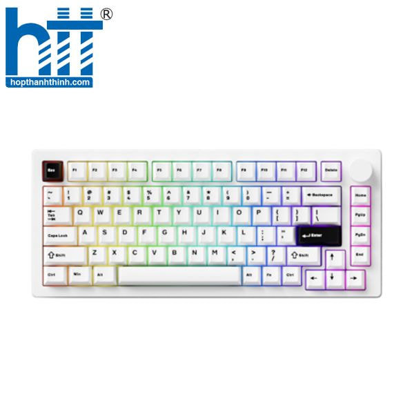 Hợp Thành Thịnh - Bàn phím MonsGeek M1 V5 Black on White