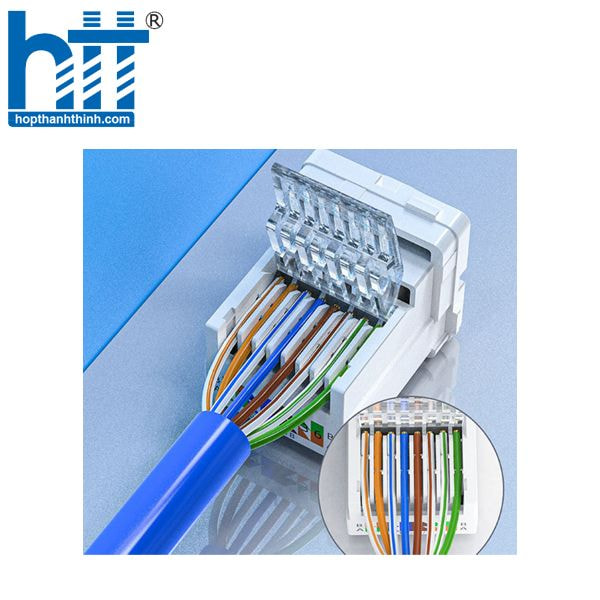 Hợp Thành Thịnh - Nhân mạng RJ45 Modul Rack PicoLink