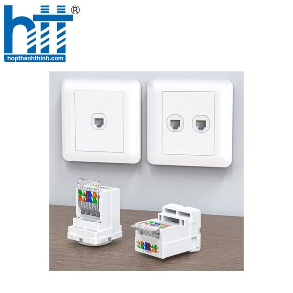 Hợp Thành Thịnh - Nhân mạng RJ45 Modul Rack PicoLink