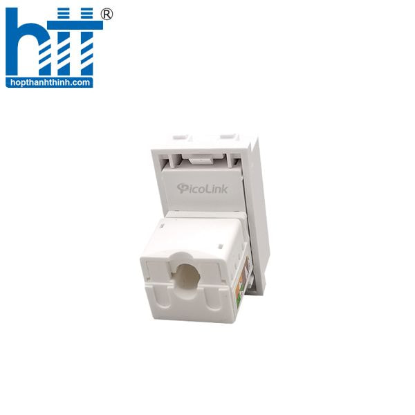 Hợp Thành Thịnh - Nhân mạng âm tường Cat6 PicoLink