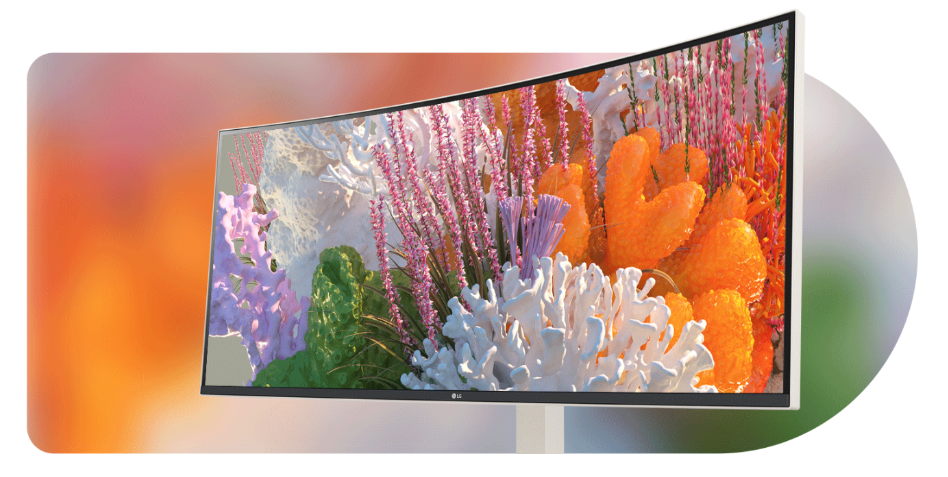 Hợp Thành Thịnh - Màn Hình LG UltraWide 38WR85QC-W