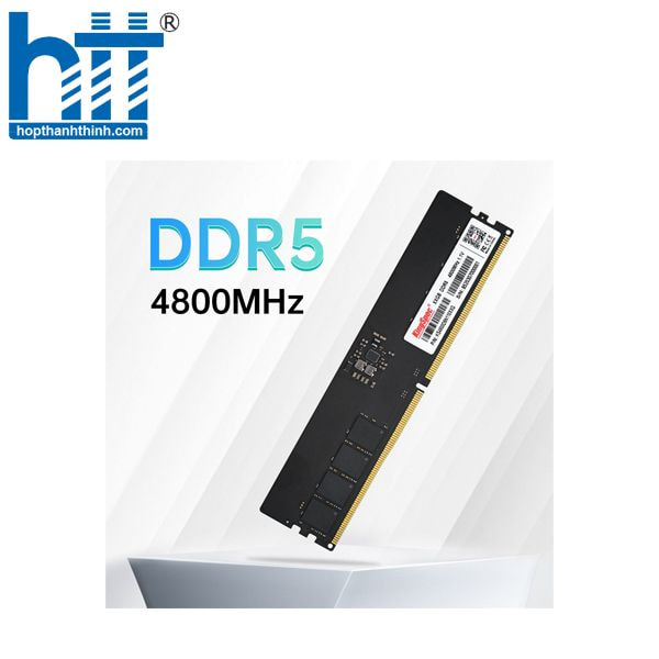 Hợp Thành Thịnh - Kingspec 16GB DDR5 4800 PC