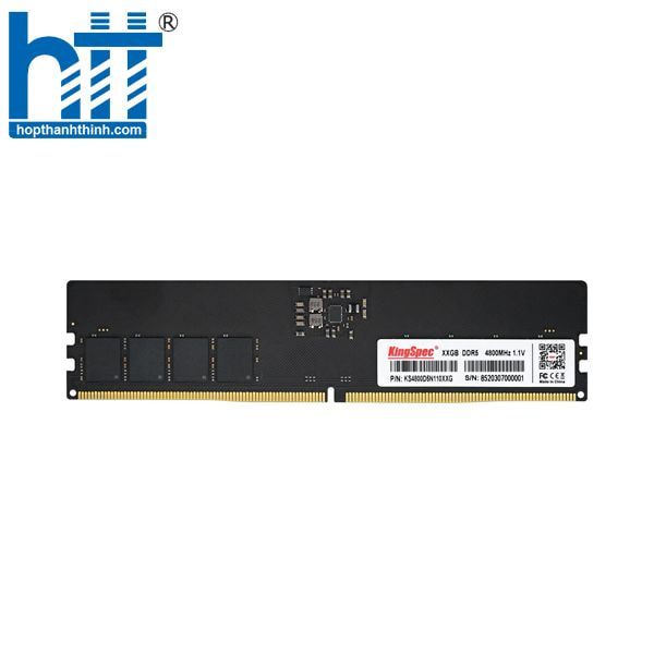 Hợp Thành Thịnh - Kingspec 16GB DDR5 4800 PC