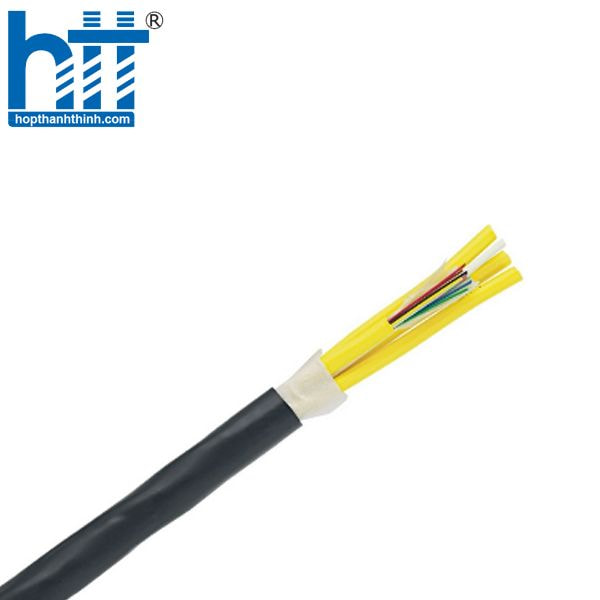 Hợp Thành Thịnh - Cáp quang Multimode OM3 12 cores Panduit FLKLX12