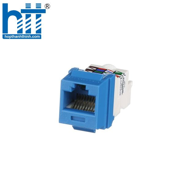 Hợp Thành Thịnh - Nhân mạng cat6 Panduit