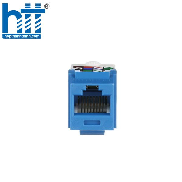 Hợp Thành Thịnh - Nhân mạng cat6 Panduit