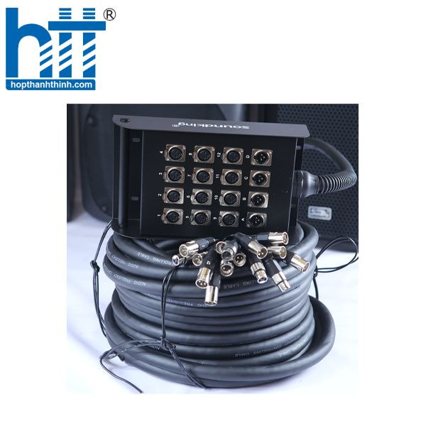 Hợp Thành Thịnh-Dây cáp 12 line Soundking AH103