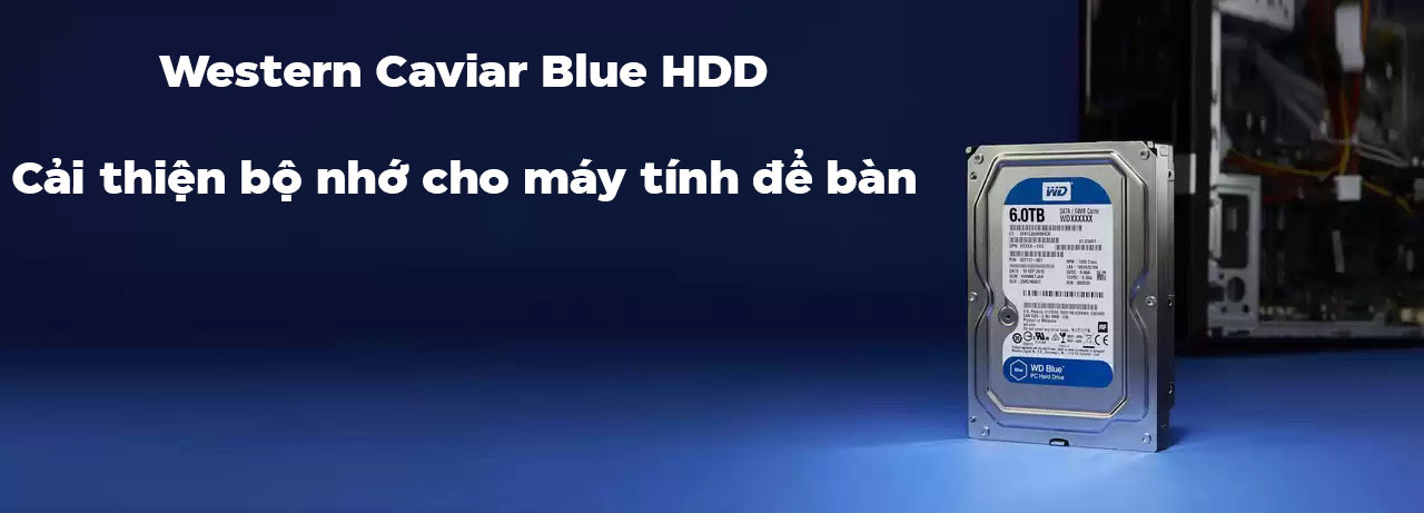 Hợp Thành Thịnh - Ổ cứng HDD WD 1TB Blue 3.5 inch, 7200RPM, SATA, 64MB Cache (WD10EZEX)