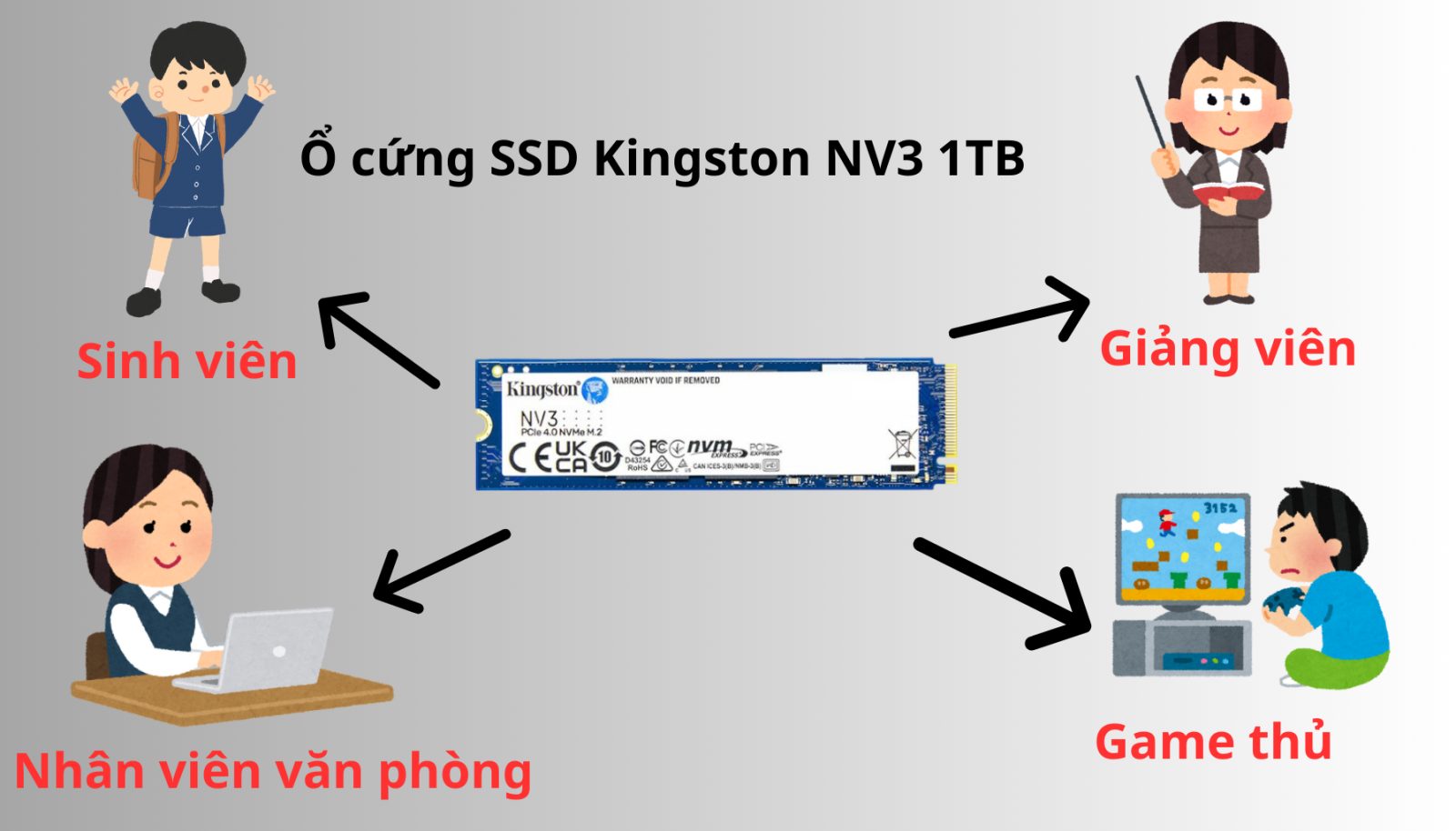 Hợp Thành Thịnh - Ổ cứng SSD Kingston SNV3S 1TB NVMe M.2 2280 PCIe Gen 4x4 (Đọc 6000MB/s - Ghi 4000MB/s) - (SNV3S/1000G)