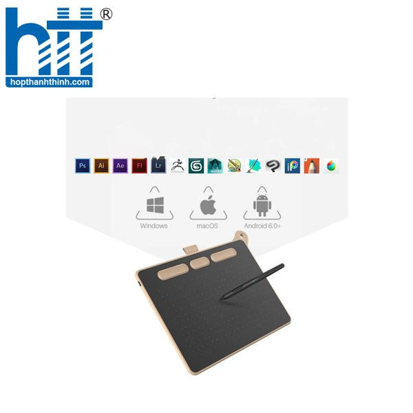 Hợp Thành Thịnh - Parblo Ninos Medium