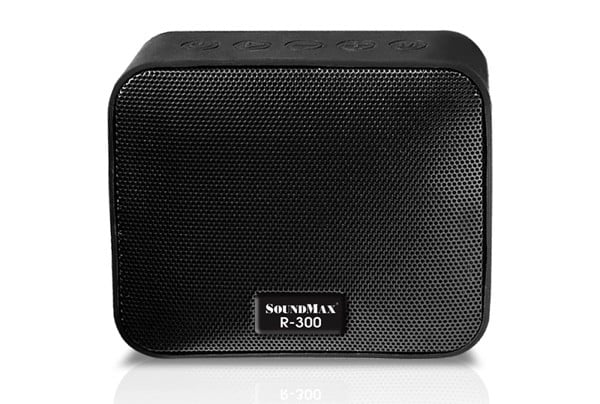 loa SoundMax R-300