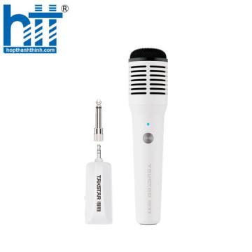 Bộ micro cầm tay không dây HM-300W