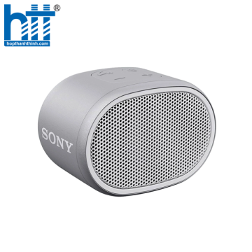 Loa Sony SRS-XB01 Grey