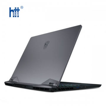 Laptop MSI Gaming GE66 Raider (11UH-211VN) (i7 11800H/32GB RAM/2TB SSD/RTX3080 16G/15.6 inch QHD 240Hz/Win10) (2021)
