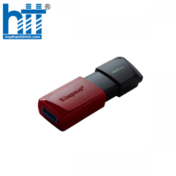 USB Kingston DTXM 128Gb USB3.2