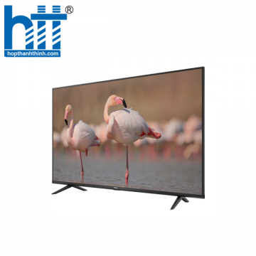 Android Tivi TCL 4K 55 inch 55P618