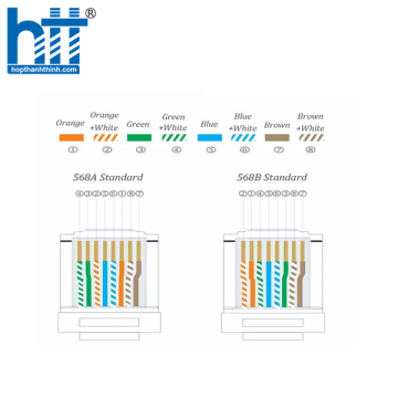 Hạt mạng AMPCOM RJ45 Connector Plug-Cat5e STP 50U (100c/túi) - AMCAT5EB100(BU)