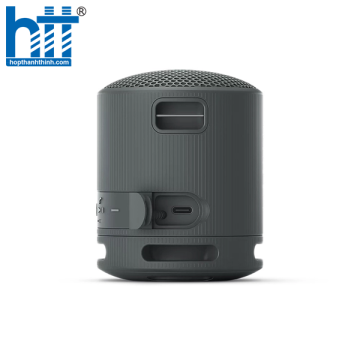 Loa Bluetooth di động Sony SRS-XB100, pin 16h, chống nước IP67 Black