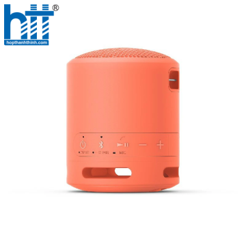 Loa Sony SRS-XB13 Pink