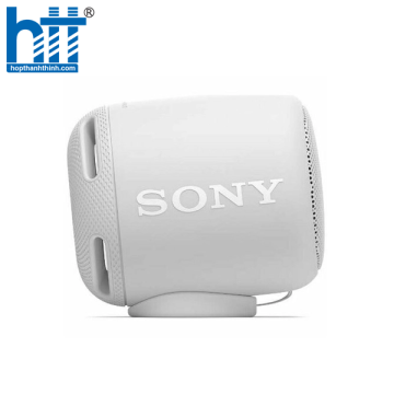 Loa Sony SRS-XB10 Grey