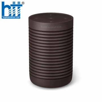 Loa Bang & Olufsen Beosound Explore Chestnut