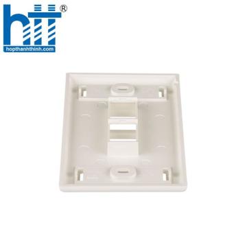 Mặt ổ cắm mạng Panduit 2 cổng NK2FIWY
