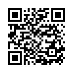 USB Sandisk CZ93 128Gb