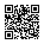 USB Sandisk CZ93 32Gb