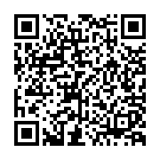 Laptop Dell Pro 14 Essential PV14250 (PV14250-120U-16512W-1Y) (14.0 inch FHD+| Core 5 120U| 16GB| 512GB SSD| Intel Graphics| Windows 11 Home)