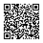 Cáp mạng Ampcom Cat6a Flat 3M đúc sẵn 2 đầu AMCAT6ABK0830