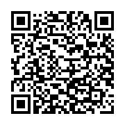 Laptop HP Pavilion 14-dv1033TU (5Z9U8PA) (i5-1155G7/RAM 8GB/256GB SSD/ Windows 11)