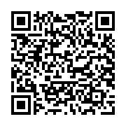 Máy tính bảng Apple IPad Gen 10 2022 10.9 Cellular MQ6T3ZA/A (256GB/ Silver)