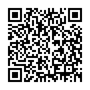 Laptop MSI Modern 15 F13MG-667VN (I5-1334U/8GB/512GB PCIE/15.6 FHD/WIN11/BẠC/TÚI)