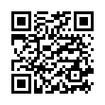 Loa không dây di động XG300