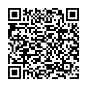 Laptop Asus ROG Zephyrus G15 GA503, G513, G513QR, G513QY, G533, G533QS, GA503QM