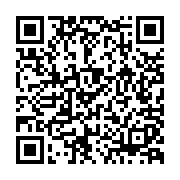 Laptop Dell Pro 14 Essential PV14250-71084489 (Intel Core 5 120U | 16GB | 1TB | Intel Graphics | 14 inch FHD+ | Win 11 | ax+BT | McAfee LS | Bạc)