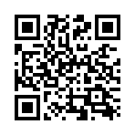 USB Sandisk CZ74 64Gb