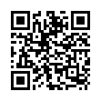 USB Sandisk CZ74 32Gb