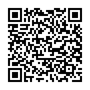 Máy tính bảng Apple IPad Gen 10 2022 10.9 Cellular MQ6J3ZA/A (64GB/ Silver)